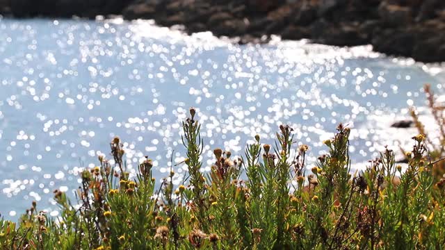 秋天的雪城有大海、海滩和悬崖视频下载