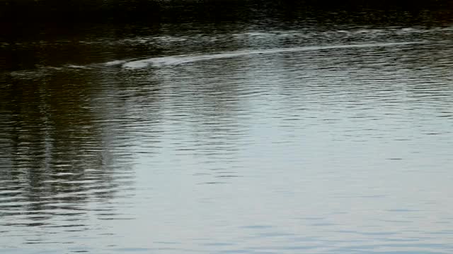 湖水时间流逝视频素材