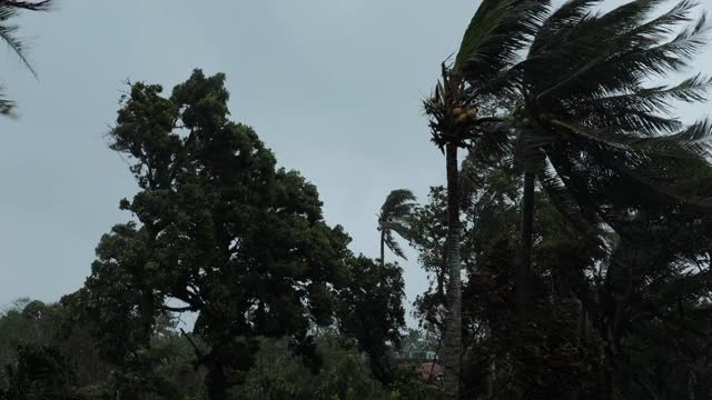 超级台风“戈尼”的袭击视频素材