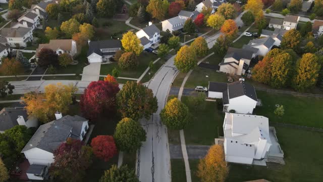 在芝加哥地区沿着郊区街道的彩色秋树、住宅和庭院的高空鸟瞰图。美国中西部。4 k视频下载