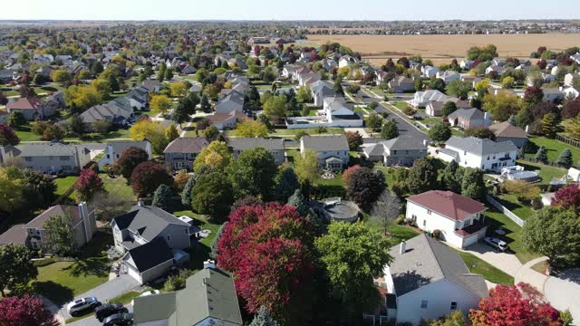 头顶鸟瞰图多彩的秋天的树，住宅和院子排水池塘沿郊区街道在芝加哥地区。美国中西部。4 k视频下载