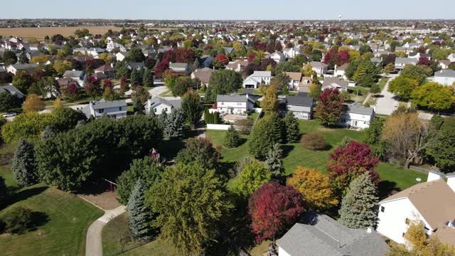 在芝加哥地区沿着郊区街道的彩色秋树、住宅和庭院的高空鸟瞰图。美国中西部。4 k视频下载