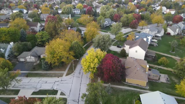 在芝加哥地区沿着郊区街道的彩色秋树、住宅和庭院的高空鸟瞰图。美国中西部。4 k视频下载