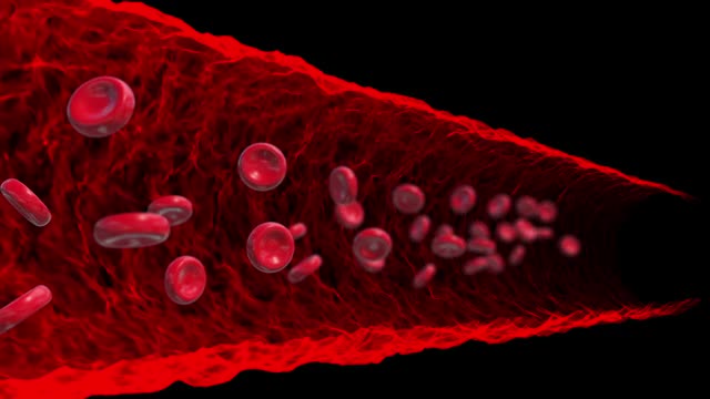 血细胞红色管隧道环路动画视频素材