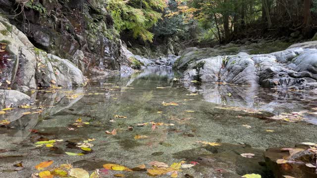 秋天的Nibukawa山谷。爱媛县今仓市视频素材