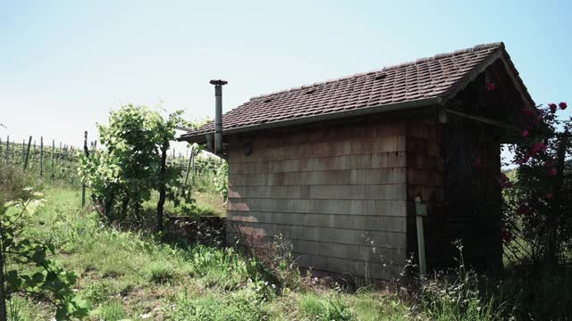 葡萄园的小屋在葡萄藤之间的葡萄园视频素材