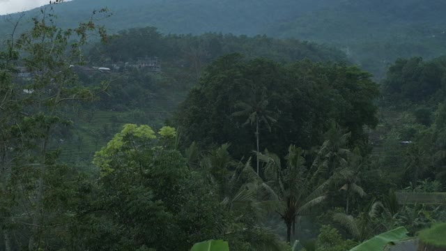 傍晚在热带的青山前。慢动作视频素材