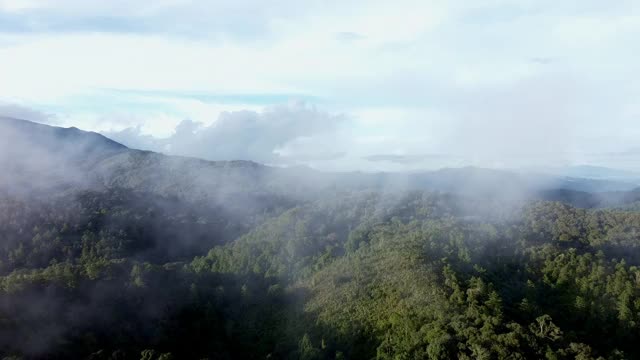 无人机航拍早晨阴天带森林的山脉景观。全景绿色森林与风吹雾海通过山峰在泰国清迈视频下载