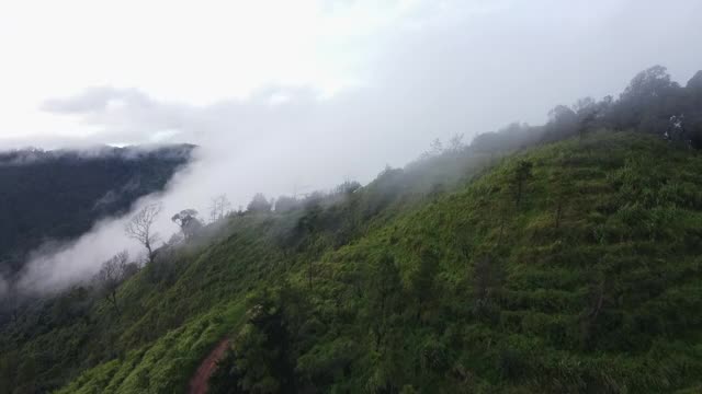 无人机航拍景观山脉与森林土路在上午阴天。全景绿色森林与风吹雾海通过山峰在泰国清迈视频素材