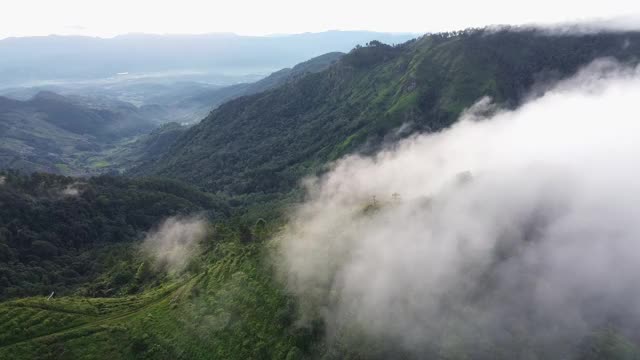 无人机航拍早晨阴天带森林的山脉景观。全景绿色森林与风吹雾海通过山峰在泰国清迈视频素材