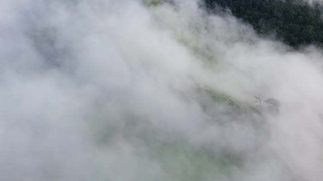 无人机航拍景观山脉与森林土路在上午阴天。全景绿色森林与风吹雾海通过山峰在泰国清迈视频下载