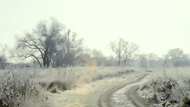 在一个霜冻的清晨，田野上一棵结着霜和雪的树被太阳照亮了视频素材