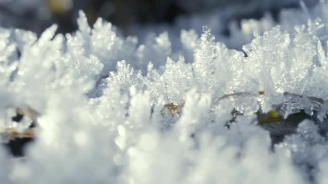 这是在霜雪覆盖的田野上被太阳照亮的冰冻草的特写镜头。空气中有霜冻的薄雾。视频素材