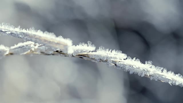 这是在霜雪覆盖的田野上被太阳照亮的冰冻草的特写镜头。空气中有霜冻的薄雾。视频素材