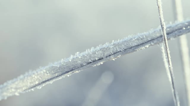 这是在霜雪覆盖的田野上被太阳照亮的冰冻草的特写镜头。空气中有霜冻的薄雾。视频素材