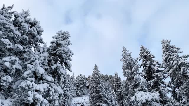 科罗拉多州博尔德市附近新下的雪覆盖了大地视频素材