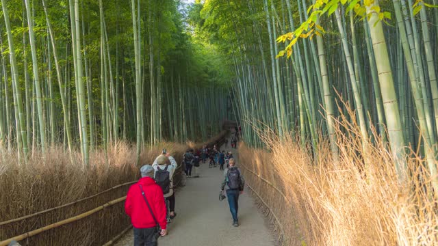 4k时光流逝，岚山竹林人潮涌动。视频素材