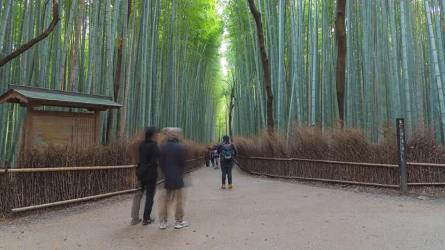 4k时光流逝，岚山竹林人潮涌动。视频素材