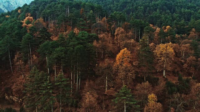 不断上升的高山视频素材