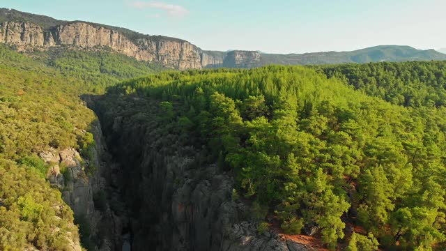 峡谷和森林视频素材