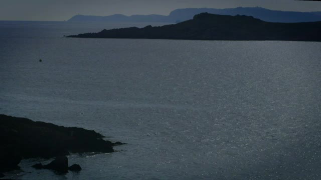 一只鸟飞过宁静的海湾视频素材