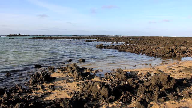 兰萨罗特浅水火山岩海滩视频素材