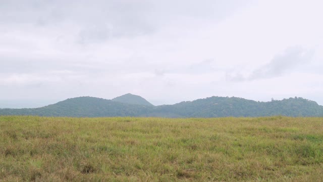 4K快乐亚洲人游客坐在户外椅子上享受美丽的自然山和绿色的草地在冬天的一天。孤独的帅小伙在假期放松户外生活方式视频下载