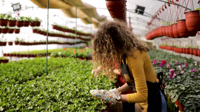 控制植物的女性植物学家视频素材