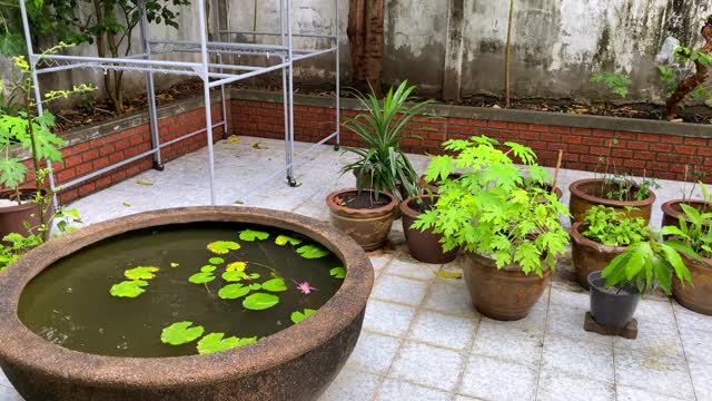 下雨天的后院视频素材