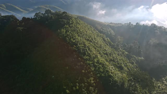 泰国北部雨林山的鸟瞰图视频素材