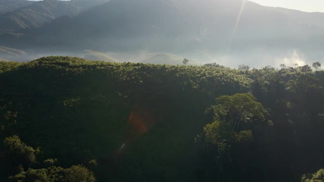 泰国北部雨林山鸟瞰图，多莉拍摄视频素材