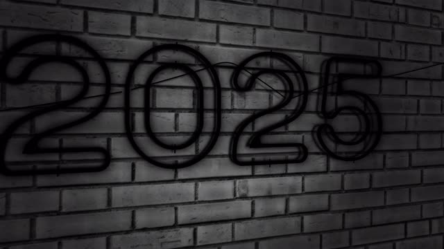 2025年霓虹视频素材