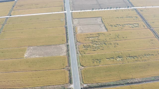 秋天的田野和道路视频素材