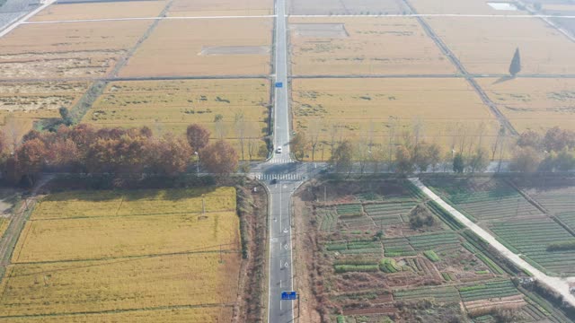 秋天的田野和道路视频素材