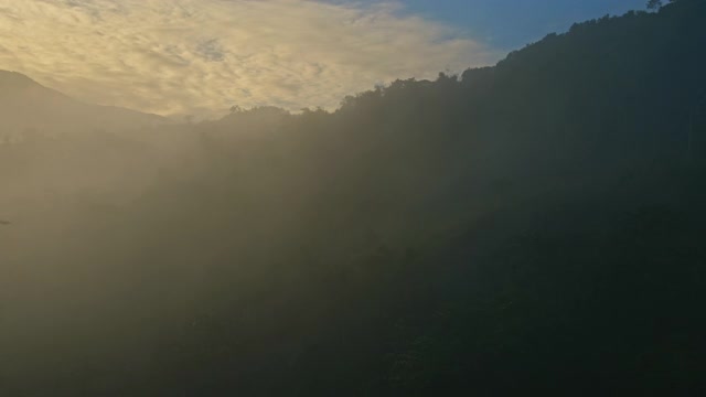 鸟瞰图的雾滚过流过雨林山视频素材