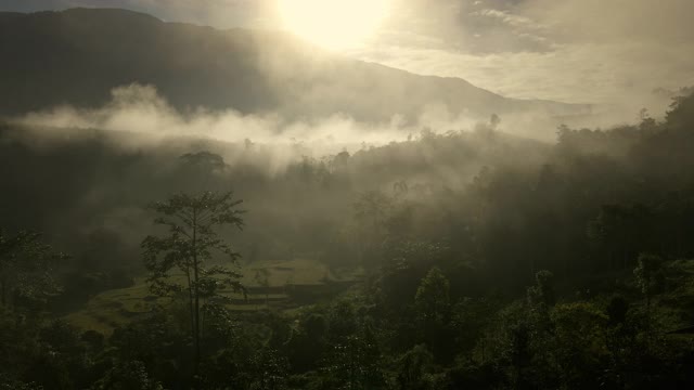 鸟瞰图上的雾翻滚流过雨林山，多莉拍摄视频素材