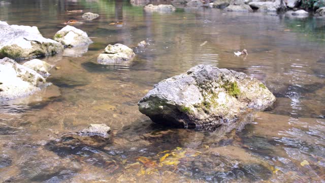 宁静的河流视频素材