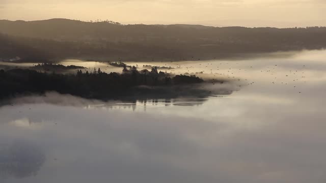 雾霭从温德米尔湖在日出时，湖区，英国与成群的木鸽子飞过。视频素材