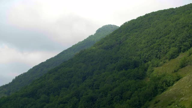 格伦兹克湾绿山覆盖的夏季森林。格伦兹克市的黑海海岸。度假城市和海湾俯瞰。视频素材