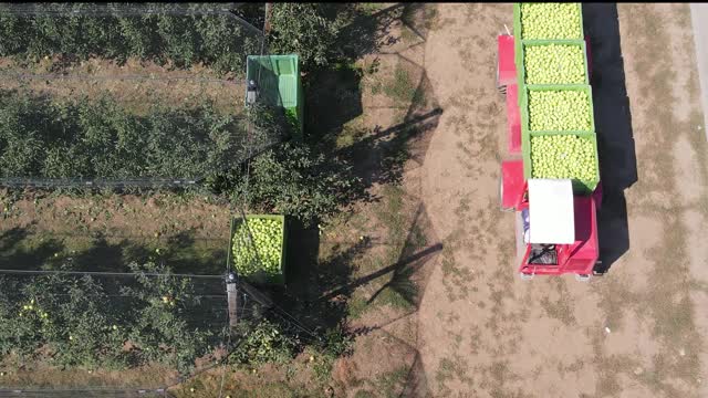 用无人机拍摄，把苹果装在箱子里运到冷藏库视频素材