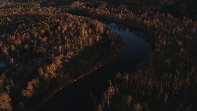 秋天的风景。森林水的倒影。树上亮橙色的叶子。瑞典Norrkoping, Motala River。视频素材