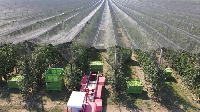 用无人机拍摄，把苹果装在箱子里运到冷藏库视频素材