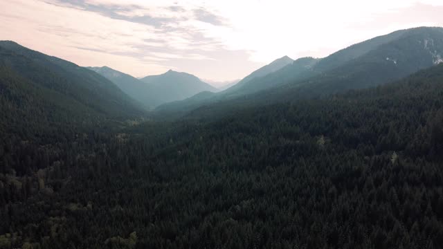 荒野空中飞行，在山谷的常绿树木视频素材