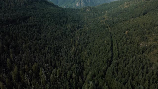 无人机向后飞行显示雪山山峰在森林山谷视频素材