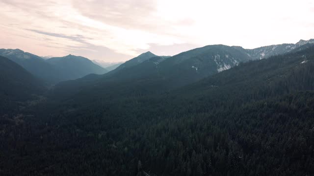 无人机飞行在太平洋西北部农村山区森林上空视频素材