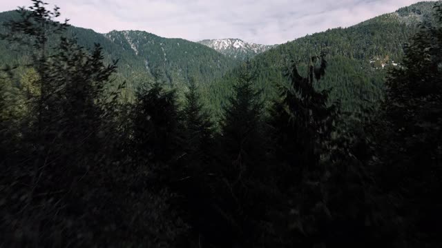 空中展示的密林在深山的边远地区视频素材