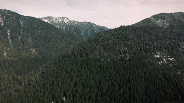 初冬积雪森林树木山景鸟瞰图视频素材