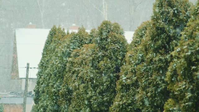 城市下雪了视频素材