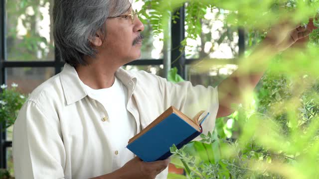 4K亚洲男子学习植物生长从书在温室花园。快乐的男性退休老人在家放松和享受休闲活动。老年人的爱好、生活方式和保健理念。视频素材