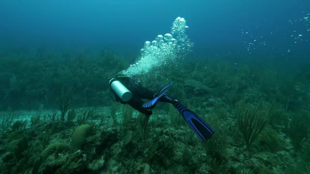 慢动作:一个人在水下探险，在伯利兹城游泳视频素材